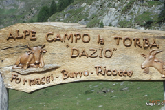 #00194-TI-Alpe Campo La Torba