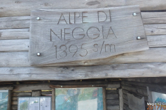 #02032-TI-Alpe di Neggia